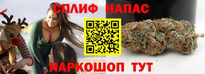 a pvp Славгород