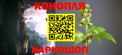 a pvp Славгород