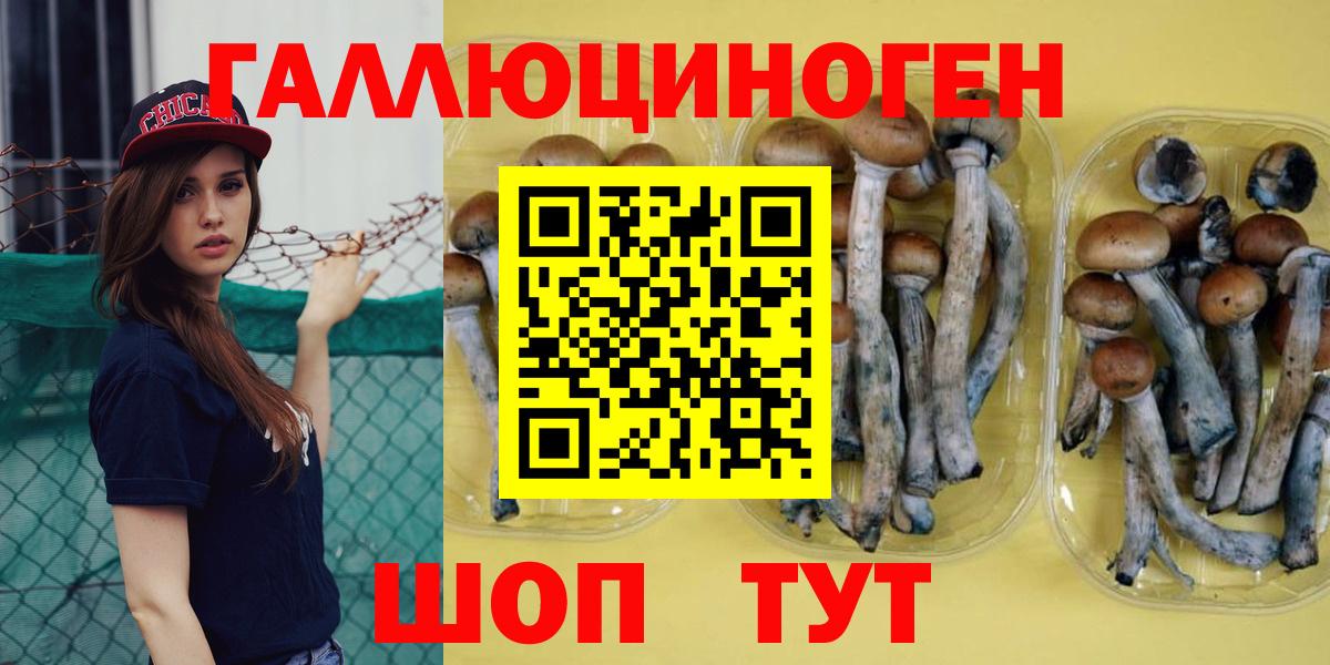 Псилоцибиновые грибы GOLDEN TEACHER Похвистнево