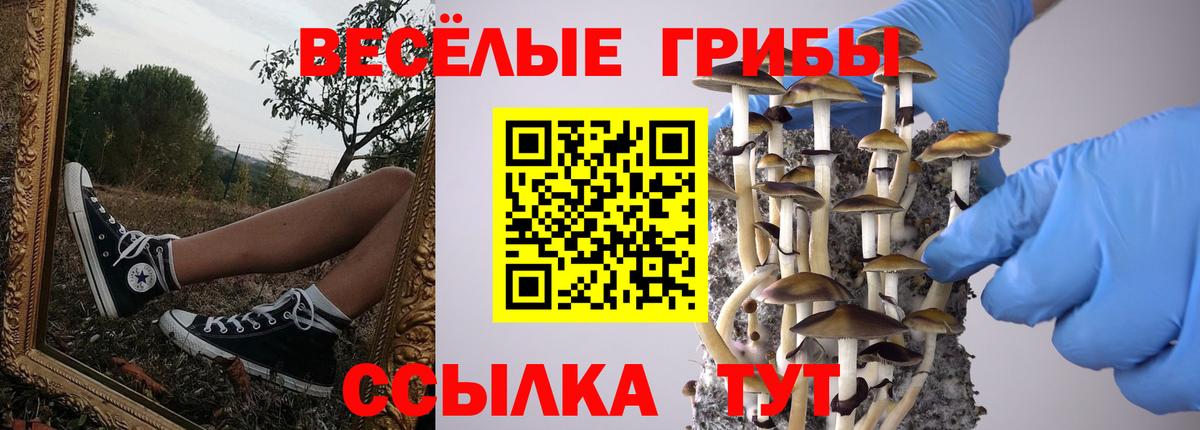 Галлюциногенные грибы мухоморы  Псилоцибиновые грибы мицелий  Вход с VPN  Похвистнево 